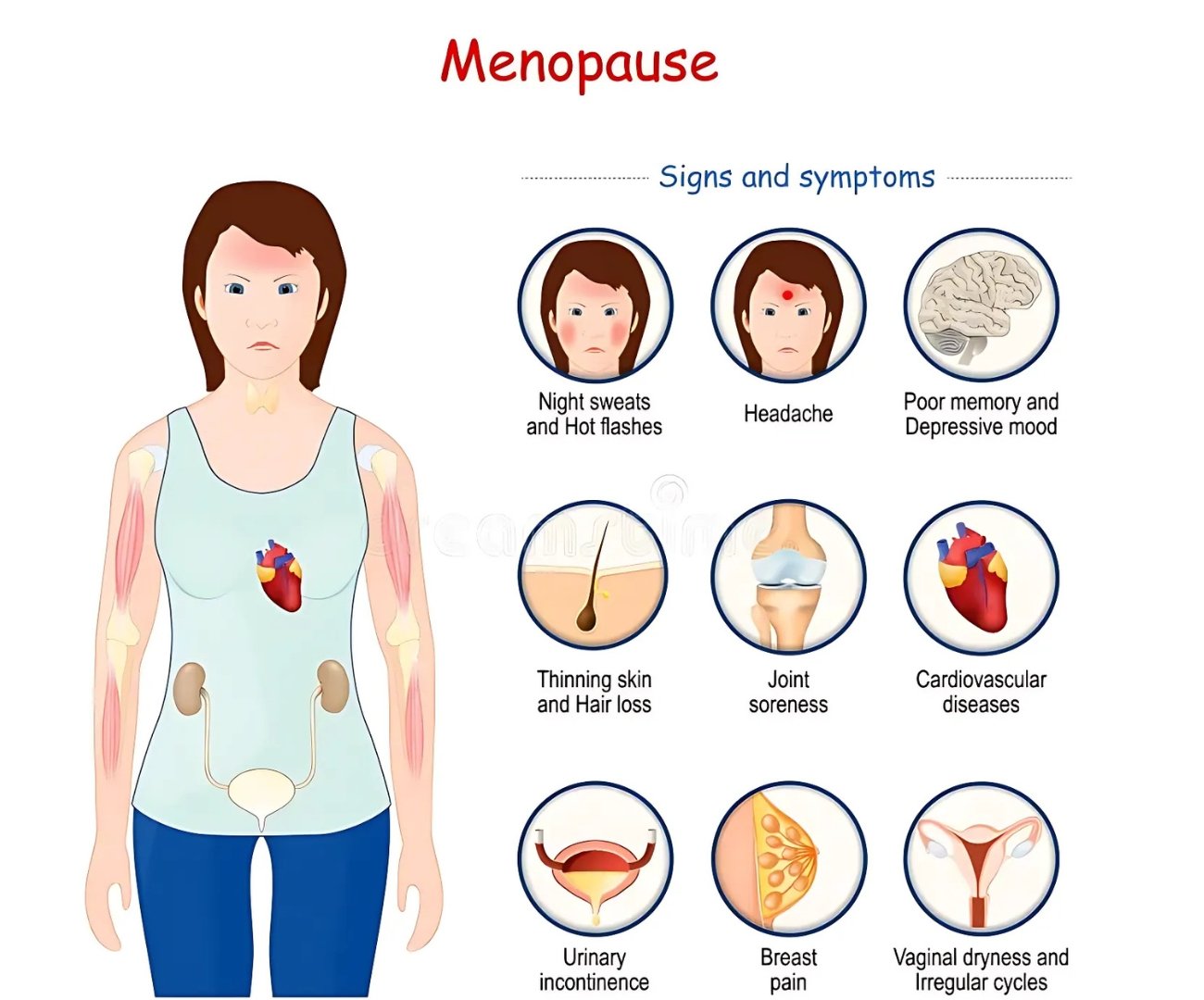 Gynaecology & Obstetrics