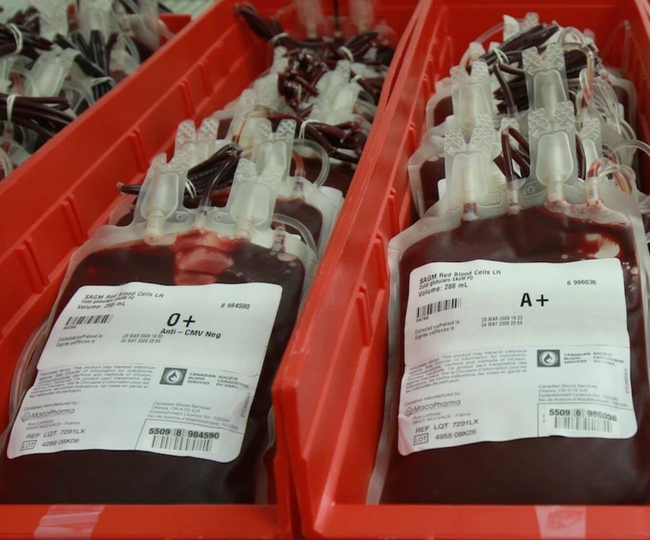 Blood Bank